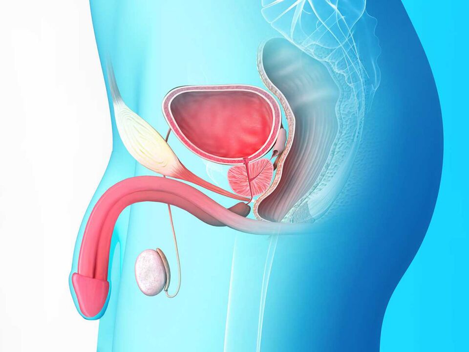 douleur prostate après rapport